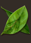 Mehandi: Your source for body art supplies