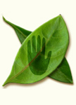 Site map: index of all the articles at the henna page