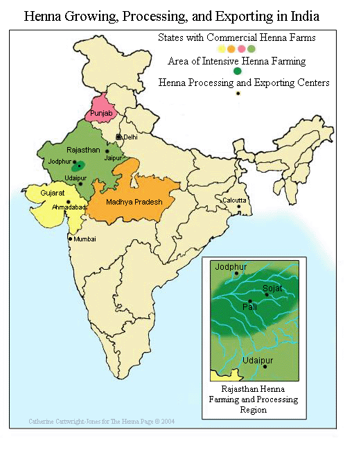 Henna Growing, Processing and Exporting in India