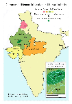 Henna Cultivation in India