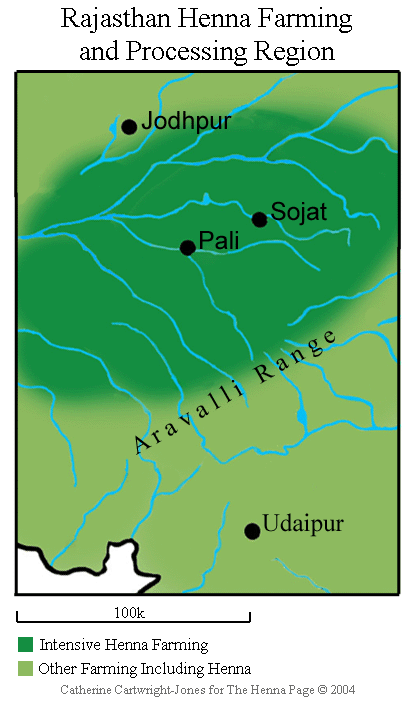 Sojat Henna Growing Region