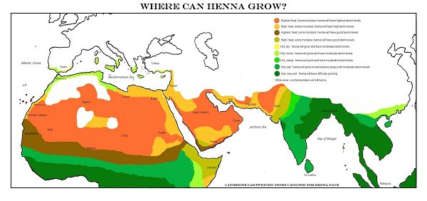 where can henna grow?