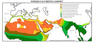 Where does Henna Grow?