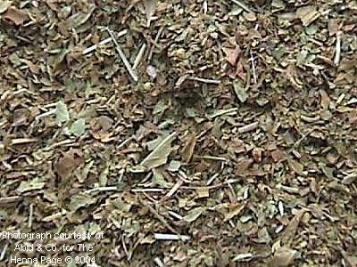 drying henna leaves