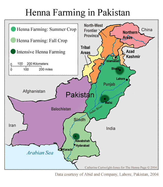 Henna production in Pakistan
