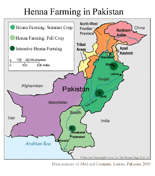 Pakistani henna map