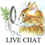 Live Chat