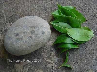 henna leaves