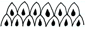 Pine cone seeds