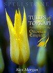 Tulips of Topkapi
