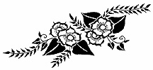 Wildflowers