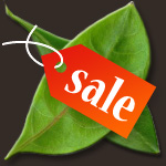 Discounts!