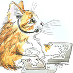 Customer Care